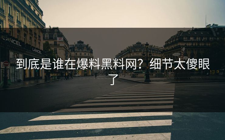 到底是谁在爆料黑料网？细节太傻眼了