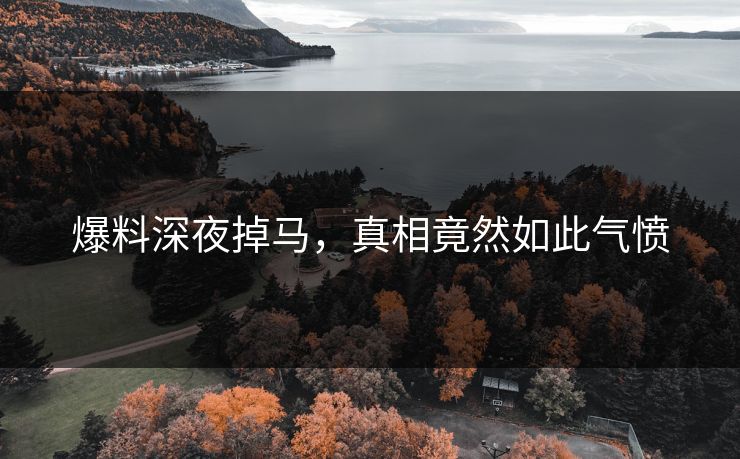 爆料深夜掉马，真相竟然如此气愤
