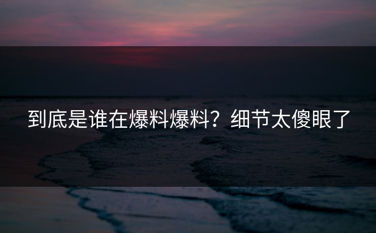 到底是谁在爆料爆料？细节太傻眼了