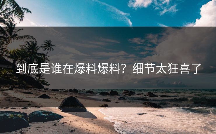 到底是谁在爆料爆料？细节太狂喜了