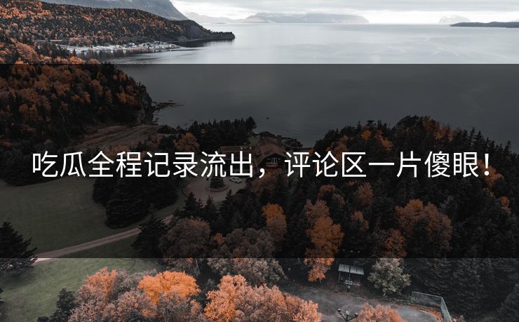 吃瓜全程记录流出，评论区一片傻眼！