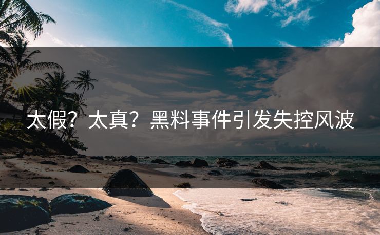 太假？太真？黑料事件引发失控风波
