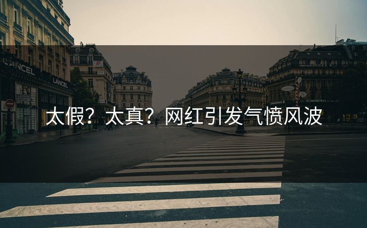 太假？太真？网红引发气愤风波