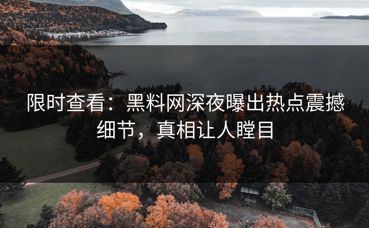 限时查看：黑料网深夜曝出热点震撼细节，真相让人瞠目